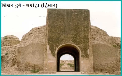 शिखर-दुर्ग-अग्रोहा-हिसार