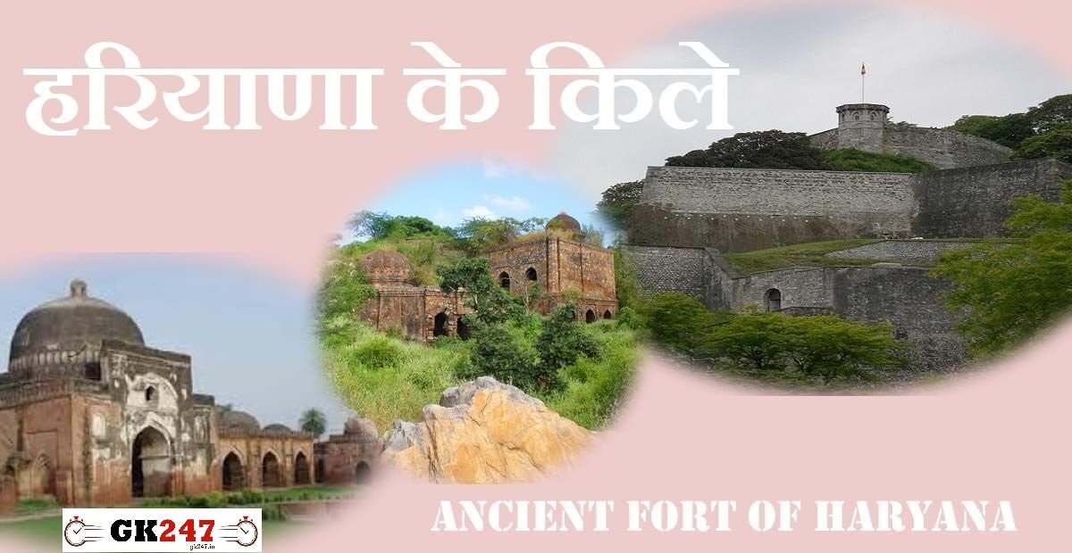 The forts of Haryana offer a glimpse of ancient history imp